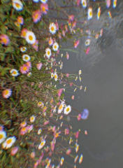Screenshot_20260503-1638342