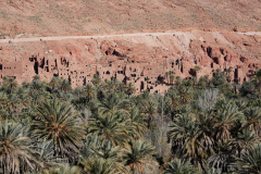 DSC02008