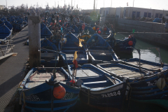 7EEE8BC3-0911-4CAD-BE46-4F61FD607945_1_105_c