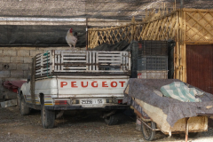 A28FEFB5-5225-4C7C-A40C-EC18411EB6FA_1_105_c