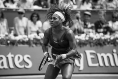 Walter Bantz: Finale Dame, Roland Garros 2013