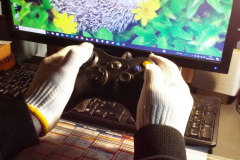 Mains-de-Gamer-Michel-CZ