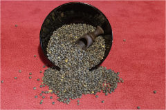 L-comme-lentilles-Jocelyne