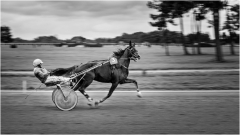 Le trois gagnant - Jean-Michel