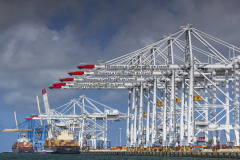 Grues-Le-HavrePier.B
