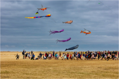 J-comme-Jeu-denfants-@-Michel-Cambornac