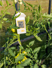 F-comme-Farenheit-Micamb