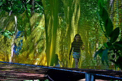 Filets-et-filles-dans-les-arbres-JPS-0625
