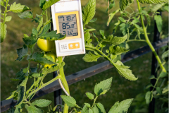 F-comme-Farenheit-Micamb