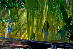 Filets-et-filles-dans-les-arbres-JPS-0625