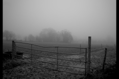 Brume-Celine