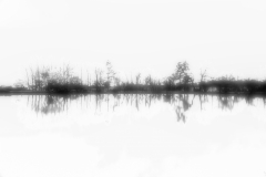 Noir-et-blanc-Rive-et-son-reflet JPStephant