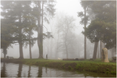 Promenade-dans-la-brume-copie