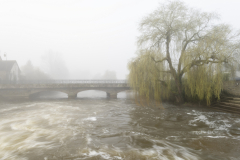 christophe-brume