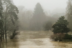 la-Brume-Jocelyne