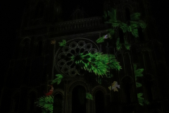 Branches_arbre_sur_cathédrale_AR