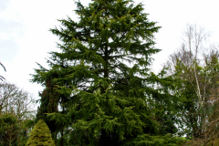 Je-ne-cedrai-pas-je-reste-couvert-JPSTEPHANT-29122025