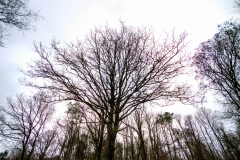 nu-en-hiver-JPSTEPHANT29122025