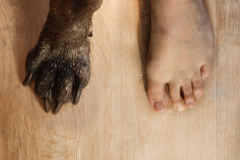 les-pieds-christophe