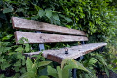 Banc_christophe