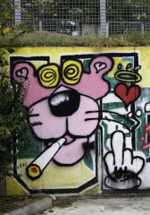 09102026-DSC00583