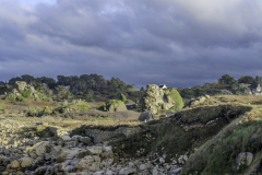 12102026-DSC00914-HDR
