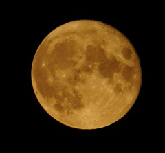 DSC01718