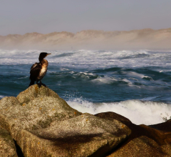 La Torche