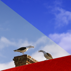 Querelle-electoralePierre.B