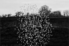 Mont-St-Michel-15-02-2025-Micamb-024