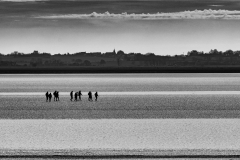 Mont-St-Michel-Micambor-016