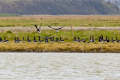 Mont-St-Michel-Micambor-018