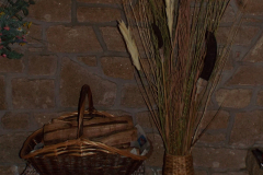 Plantes-sechees-Michel-CZ