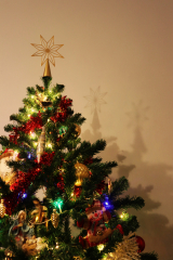 SapinS_de_noel_Aurelie