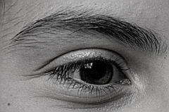 Sourcil-droit JPS NOV2025