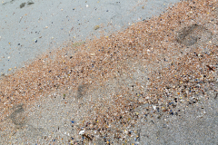 S-comme-sable_michel-b