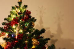 SapinS_de_noel_Aurelie