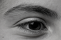 Sourcil-droit JPS NOV2025