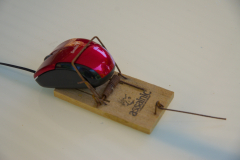 Piege-a-rat.ou-souris-JPS-0425