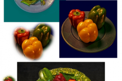 Plantes-en-folie-2024-03-