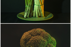 Plantes-en-folie-2024-05-