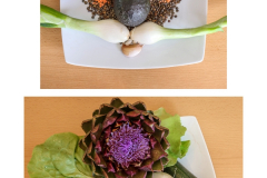 Plantes-en-folie-2024-08-