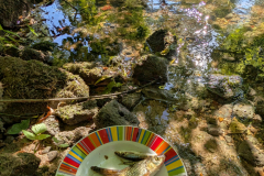 Retour-de-peche-micamb