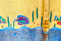 poissons-qui-font-le-mur-JPStephant-juin-2026