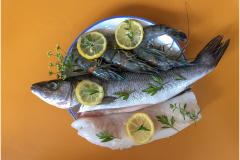 poissons-jocelyne