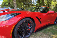 Ferrari_Anna