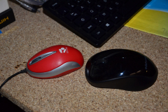 souris-vertes-non-rouge-et-noire-JPS0625