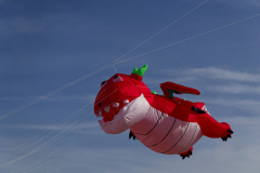 Pierre.BCerf-volant-Penvins