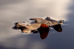 Christophe-simplicite