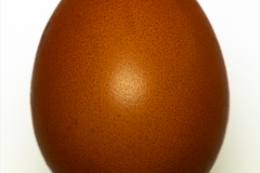 Loeuf-Micamb